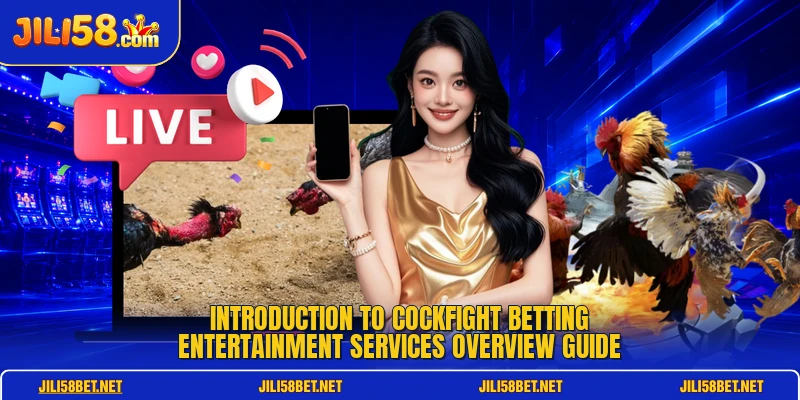 Introduction to cockfight betting entertainment services overview guide
