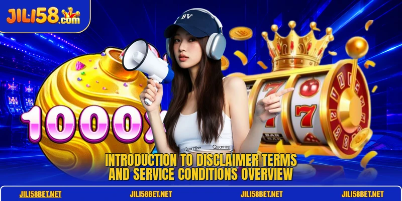 Introduction to Disclaimer terms and service conditions overview